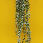 آویز شمشاد برفی