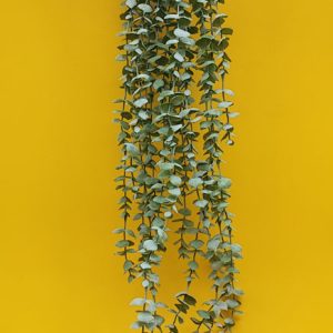 آویز شمشاد برفی