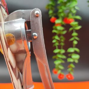 سیر له کن برند عروس